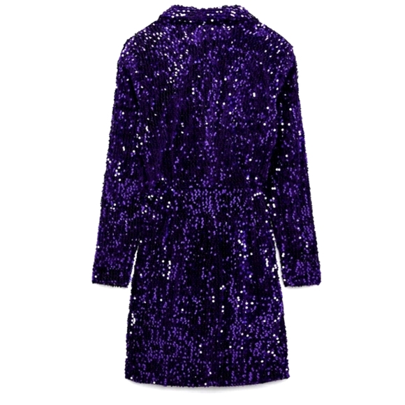 Zara SEQUIN BLAZER DRESS bloggers Favorite - Picture 8 of 10